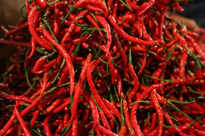 Harga Cabai di Pekanbaru Tembus Rp120 Ribu, Pasokan dari Daerah Penghasil Menyusut