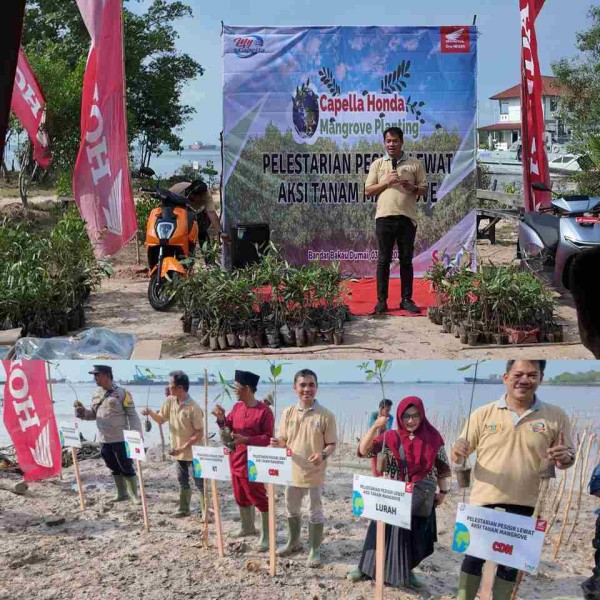 Sinergi Bagi Negeri, CDN Riau Tanam 1500 Mangrove di Pelabuhan Dumai