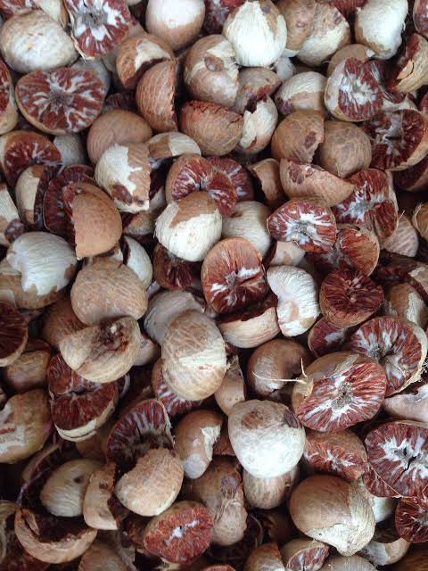 Turun Tipis, Harga Pinang Kering di Riau Rp10.351 per Kg