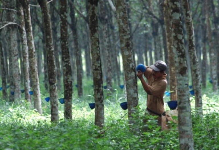 Nilai Tukar Petani di Riau Naik 139,27 Persen