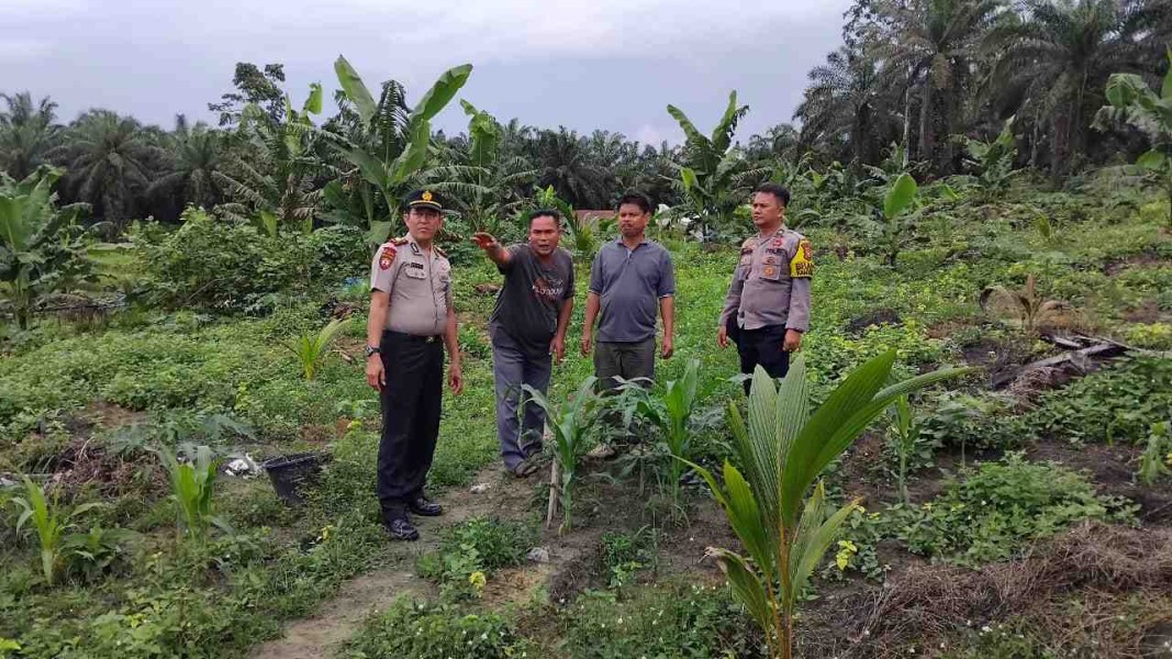Wakapolsek Minas Cek Kesiapan Lahan 1 Hektare untuk Penanaman Jagung