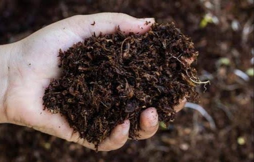 Pupuk Kimia Mahal, Kementan Sarankan Pakai Pupuk Organik