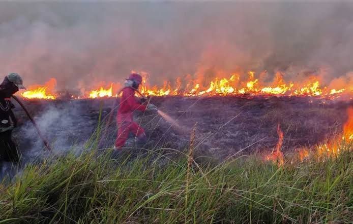 Pekanbaru Siaga Darurat Karhutla