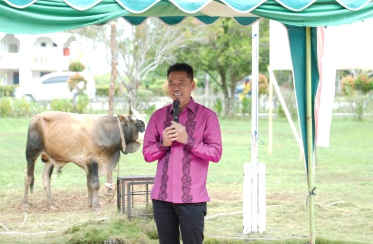 Saksikan Penyembelihan Hewan Kurban, Bupati Rohil Minta Tumbuhkan Semangat Kurban
