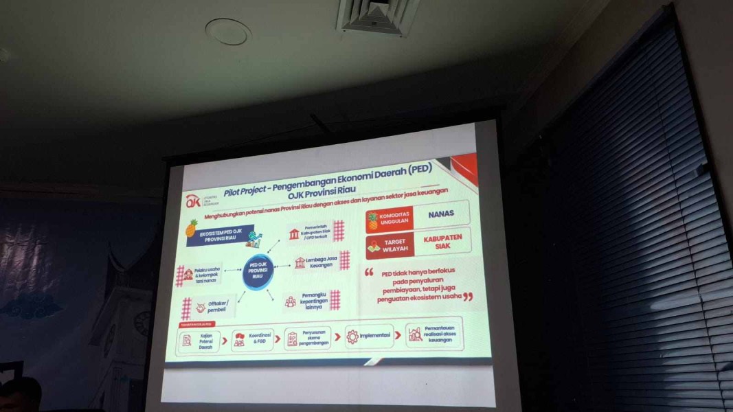 OJK Jadikan Nanas Siak Proyek Percontohan, Akses Pembiayaan Didorong Lebih Terarah