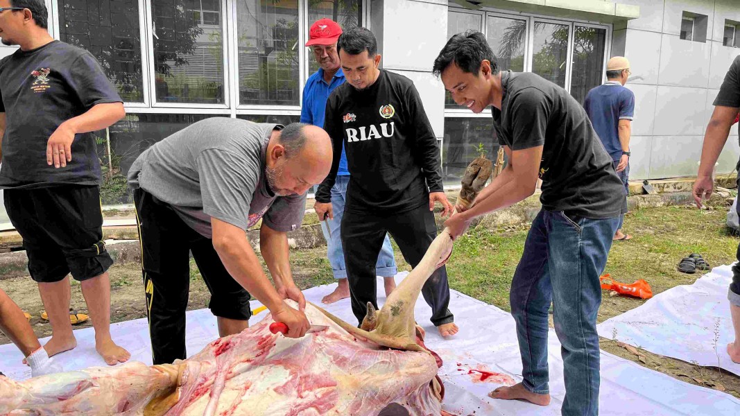 PWI Riau Gelar Pemotongan Hewan Kurban Iduladha 1447 Hijriah