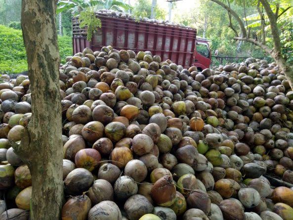 BPS Catat Nilai Tukar Petani di Riau Juni 145,32