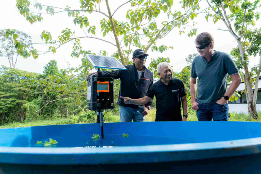 Peduli Perubahan Iklim, Indosat Kolaborasi GSMA Program Digitalisasi Konservasi Mangrove