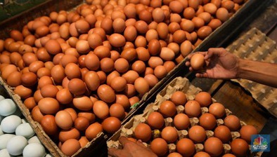 Jaga Kolesterol dengan Jumlah Aman Konsumsi Telur