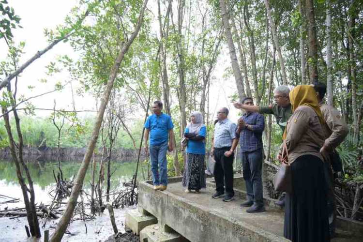 Bersama PHR, UNRI Kembangkan Kawasan Ekowisata Mangrove di Kampus Dumai