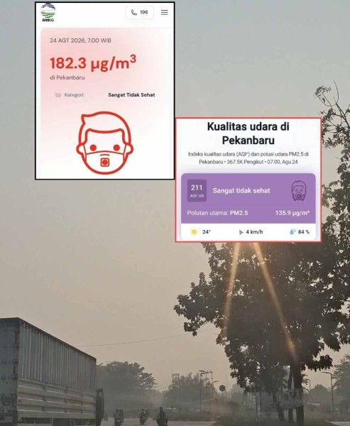 Kualitas Udara Pekanbaru Kategori Sangat Tidak Sehat, PM2.5 Tembus 182,3 Mikrogram per Meter Kubik
