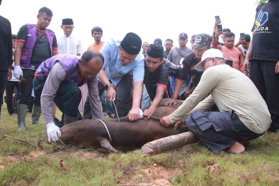 Pemko Pekanbaru Sembelih 14 Hewan Kurban
