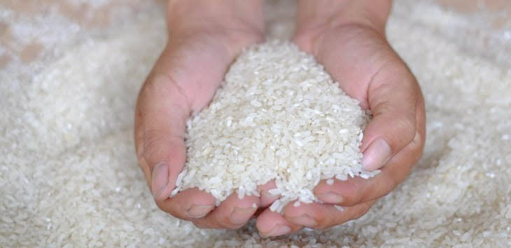 Produksi Beras di Riau Capai 124.800 Ton