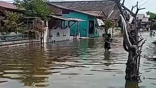 Banjir Rob Masih Terjadi di Medan Belawan