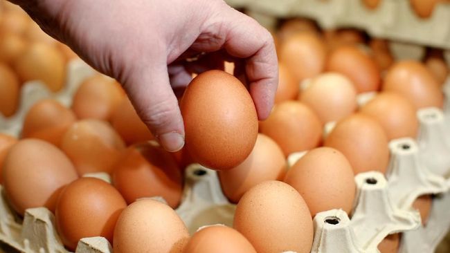 Sering Makan Telur Bikin Kolesterol Melonjak, Mitos atau Fakta?