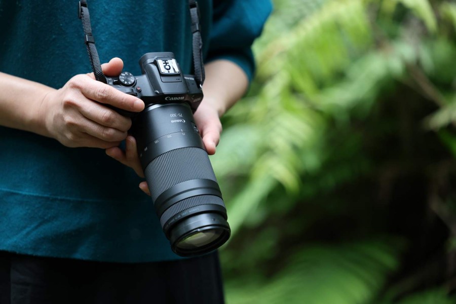 Canon RF75-300 Lensa Telefoto Ringkas dan Terjangkau bagi Pemula