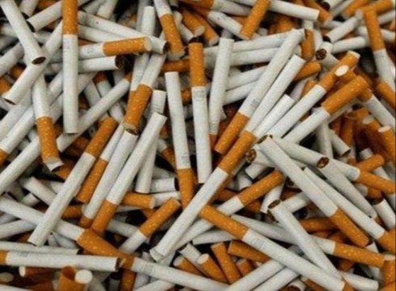 GAPERO Dukung Tindak Tegas Bea Cukai Tangani Rokok Ilegal