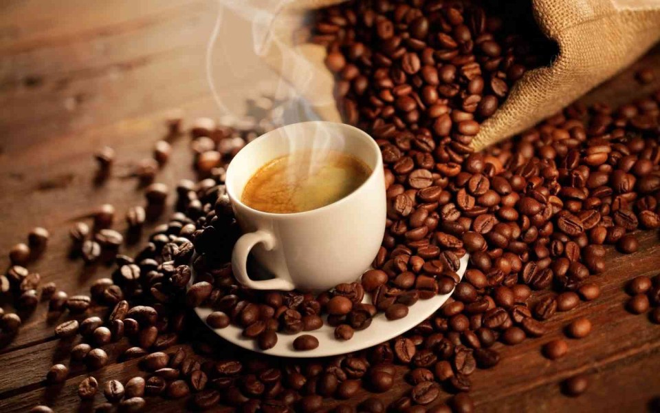 37 Tahun Kopi di Meranti Tanpa Nama, Kini Liberika Jadi Peluang Bisnis