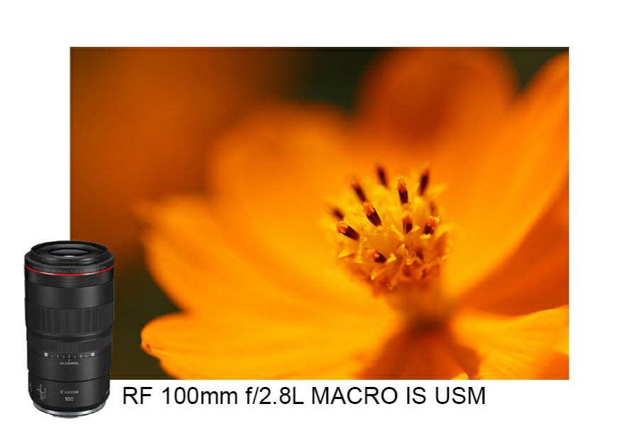 Canon Hadirkan Lensa Tele Makro Pertama di Dunia dengan Pembesaran 1,4x