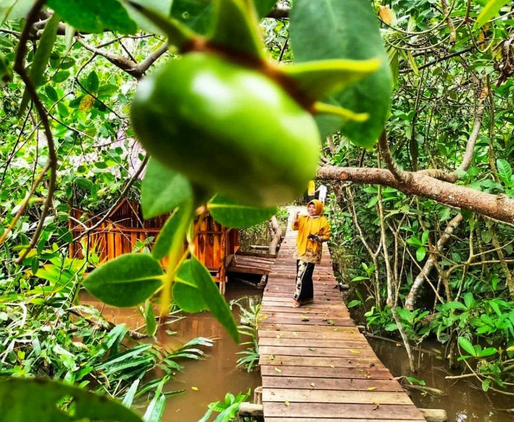 Wisata Mangrove Okura Cocok untuk Liburan Keluarga Akhir Pekan