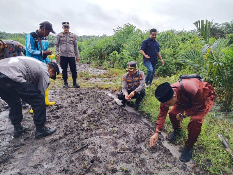 Gagal Panen, Polsek Minas Kembali Tanam Jagung Dukung Swasembada Pangan 2026