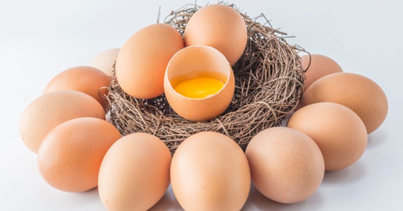 Makan Telur Mentah, Sehat atau Berbahaya Bagi Tubuh