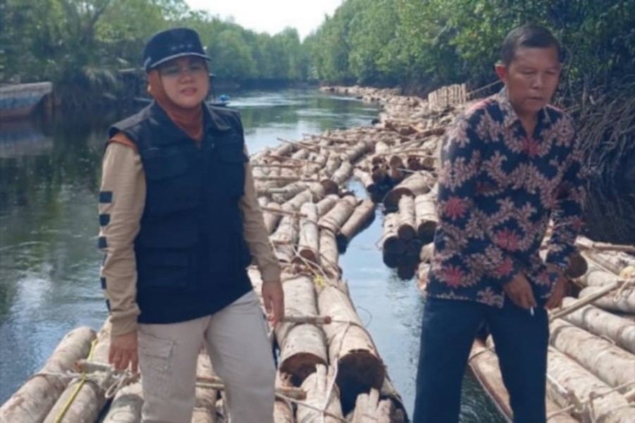 Bupati Siak Temukan Ribuan Kayu Diduga Ilegal di Sungai Apit