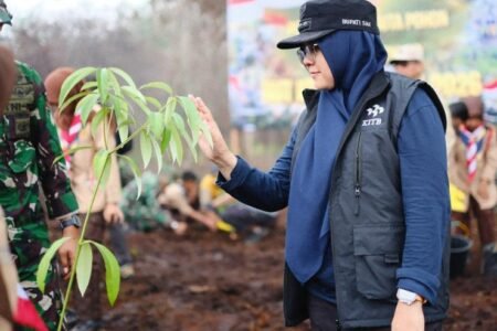 Cegah Alih Fungsi Lahan, Siak Tanam Pohon di Bekas Karhutla 4,5 Hektare