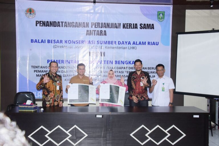 Bupati Bengkalis Teken Kerjasama BKSDA Riau