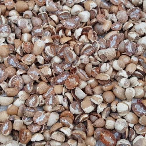 Harga Pinang Kering di Riau Jadi Rp8.217 per Kg