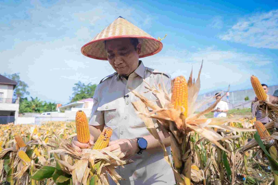 Pesantren di Pekanbaru Didorong Garap Lahan Kosong Jadi Sentra Pertanian