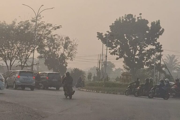 Udara Pekanbaru Kembali Tidak Sehat, PM2.5 Tembus 135,1 Mikrogram Permeter Kubik