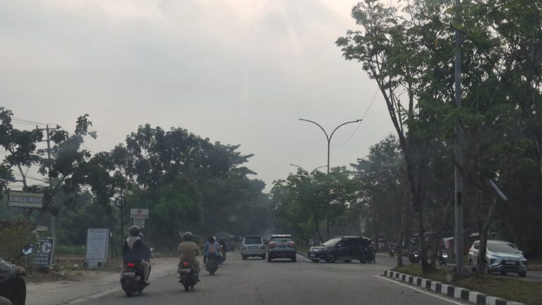 Kualitas Udara Pekanbaru Masih Tidak Sehat, PM2.5 Tembus 57,6 Mikrogram Meter Kubik