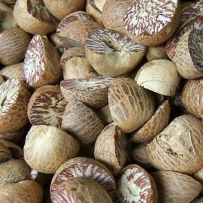 Harga Pinang Kering di Riau Naik Jadi Rp5.900